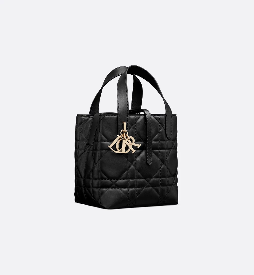 Small Dior Toujours vertical handbag  Color: black
